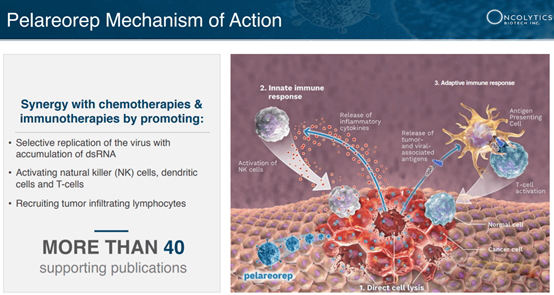 聚焦药靶：“以毒攻毒”——溶瘤病毒的最新研究进展