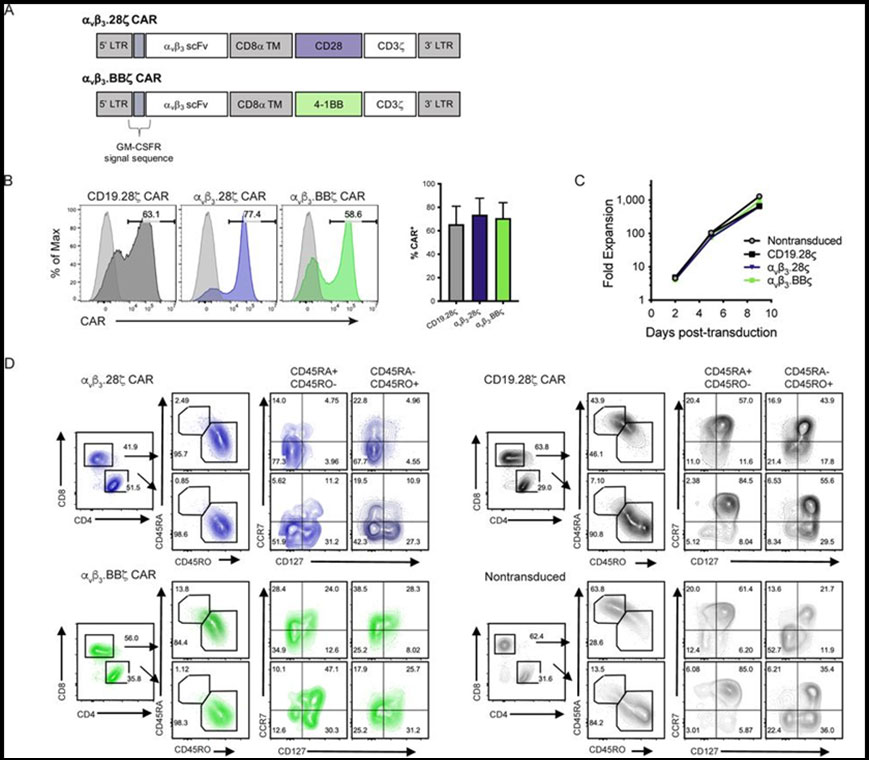 盘点：免疫细胞治疗最新研究进展
