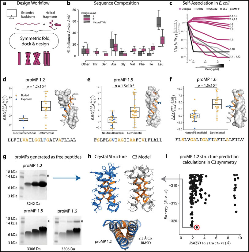 盘点：免疫细胞治疗最新研究进展